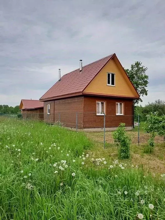 Дом в Псковская область, Гдов городское поселение, д. Лядцы  (49 м) - Фото 0