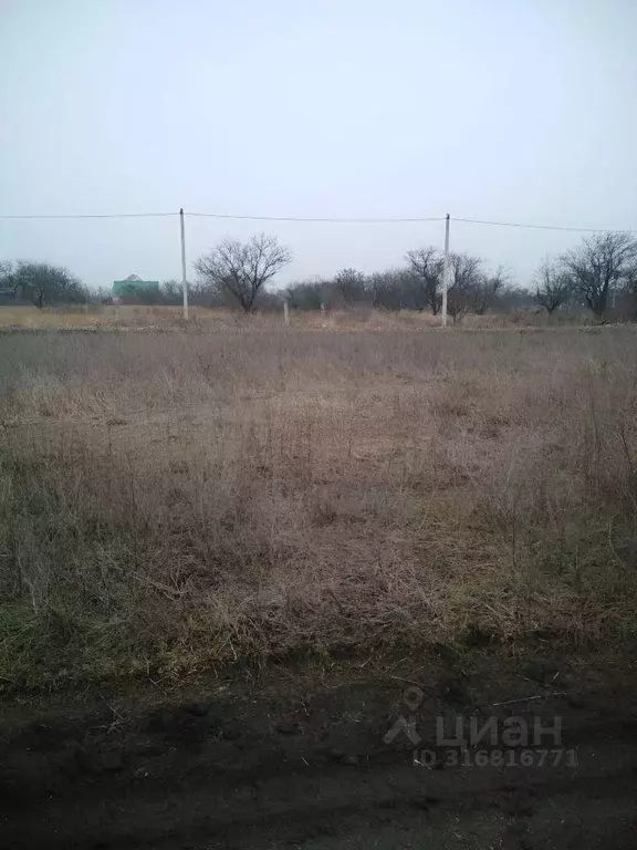 Участок, 6 сот., поселения (ижс) - Фото 0