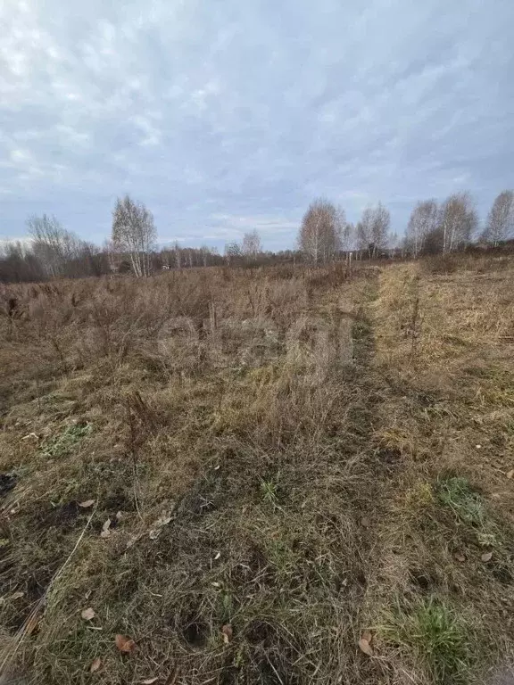 Участок в Томская область, Томский район, Зоркальцевское с/пос, ... - Фото 2