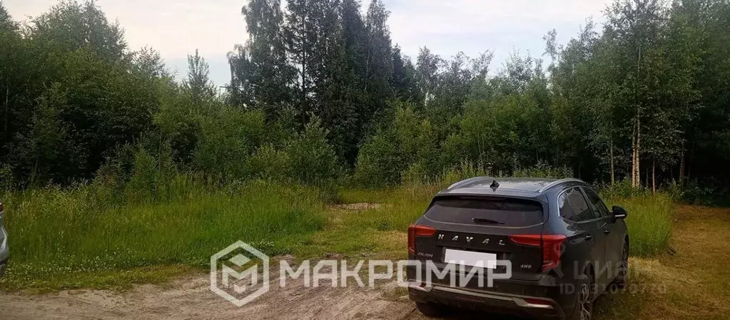 Участок в Ханты-Мансийский АО, Сургут Ручеек СНТ, ул. Огуречная (6.3 ... - Фото 1