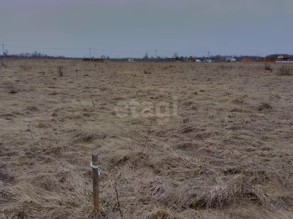 Участок в Псковская область, Псковский район, Завеличенская волость, ... - Фото 1