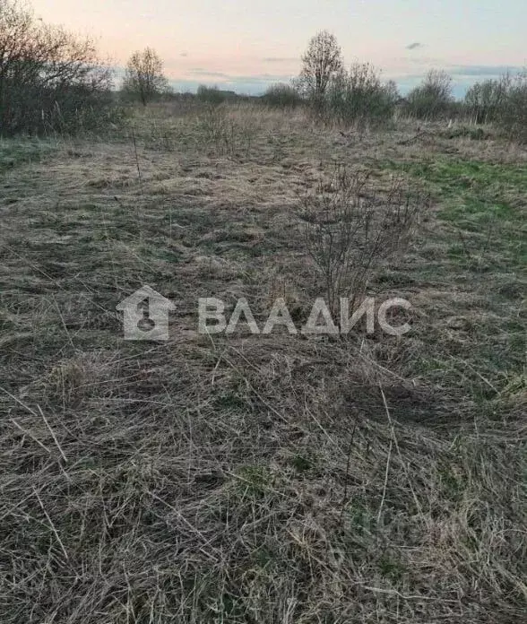 Участок в Ивановская область, Ивановский район, Коляновское с/пос, д. ... - Фото 1