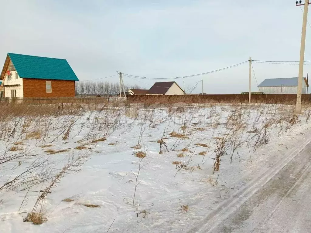 Участок в Новосибирская область, Колыванский район, с. Скала ул. ... - Фото 1