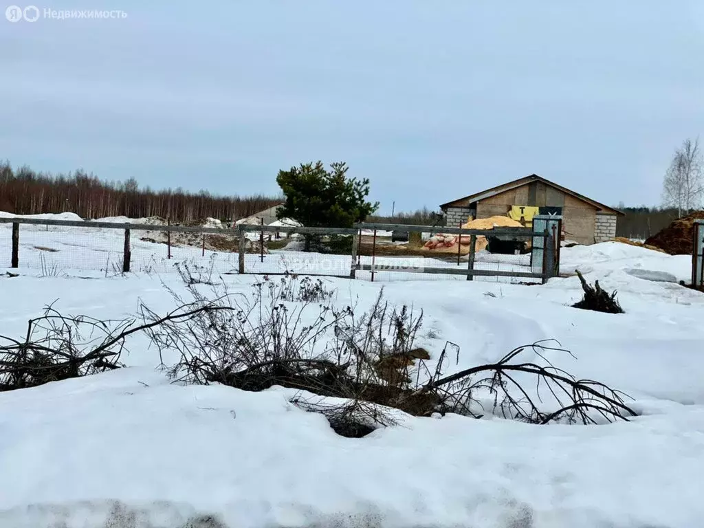 Участок в Павлово-Посадский городской округ, деревня Саурово (7 м) - Фото 1