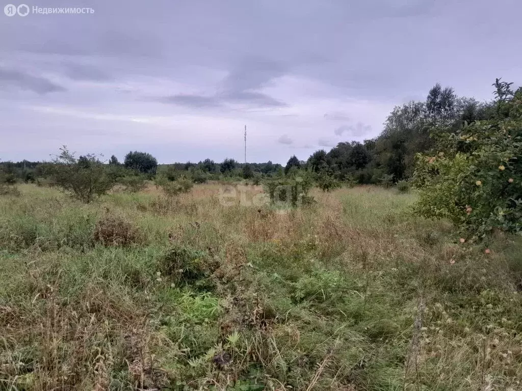 Участок в Калининградская область, Гурьевский муниципальный округ, ... - Фото 0