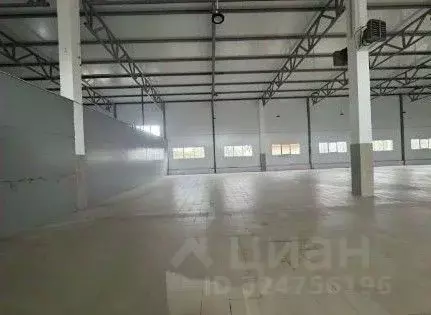 Склад в Ленинградская область, Отрадное Кировский район, Ленинградское ... - Фото 1