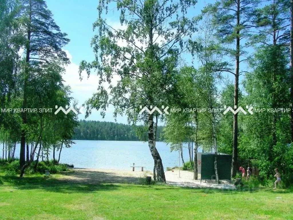 Участок в Ленинградская область, Выборгский район, Рощинское городское ... - Фото 1