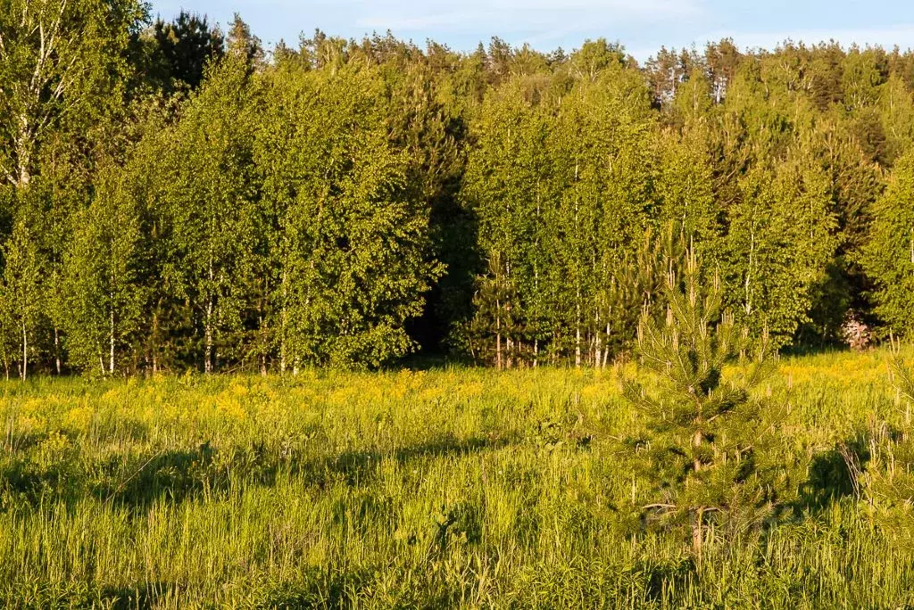 Участок в Московская область, Красногорск городской округ, д. ... - Фото 1