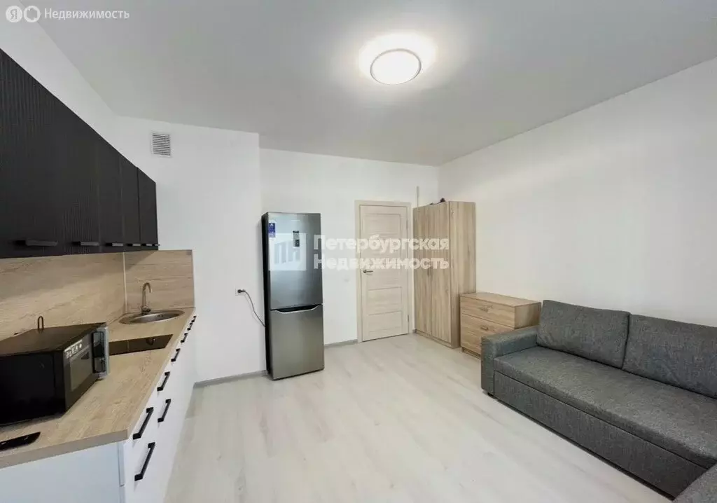 Квартира-студия: Санкт-Петербург, Арцеуловская аллея, 17 (24.6 м) - Фото 2