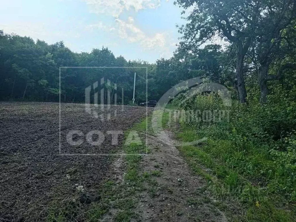 Участок в Воронежская область, Новоусманский район, ... - Фото 2