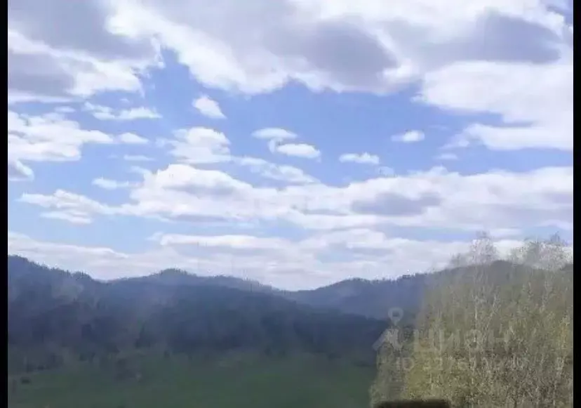 Участок в Алтай, Чемальский район, Чепошское с/пос, Сибирь тер.  ... - Фото 1