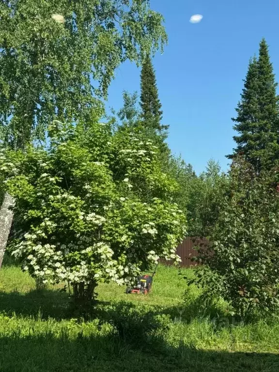 Участок в Томская область, Томск пос. Родионово, ул. 1000-летия Руси ... - Фото 1