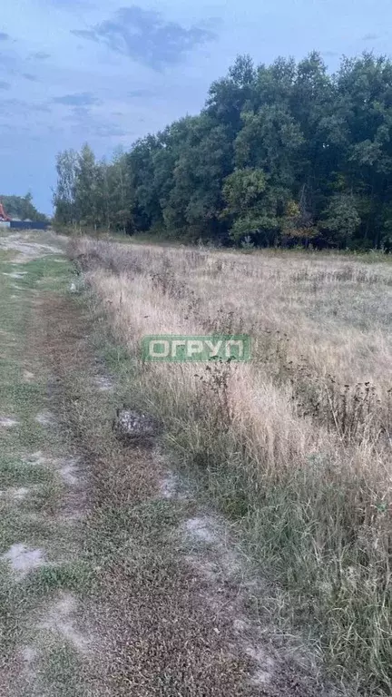Участок в Пензенская область, Пенза Барковка мкр,  (9.6 сот.) - Фото 1