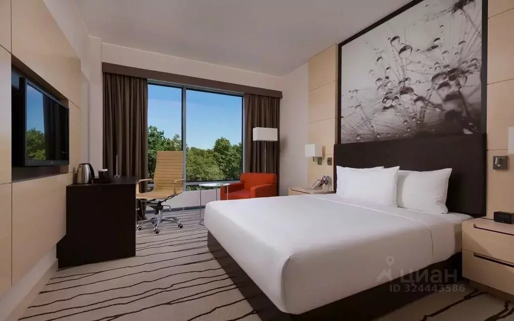 Комната Москва пос. Внуково, ул. 2-я Рейсовая, 2 (24.0 м) - Фото 1