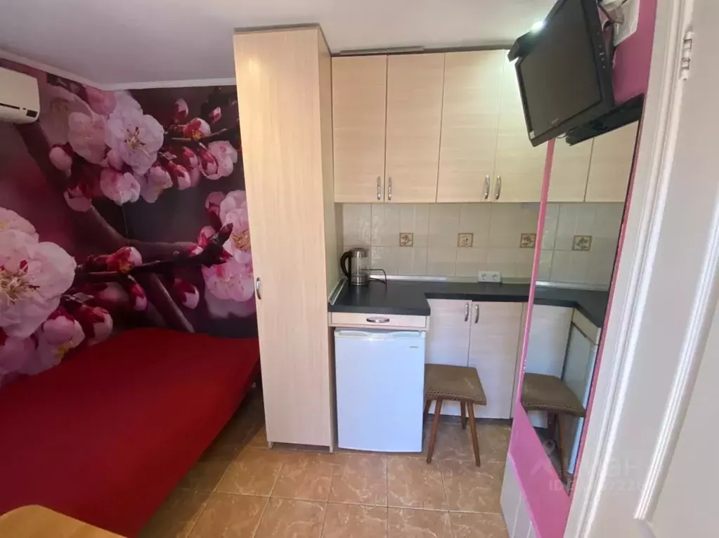 Студия Крым, Ялта ул. Дмитриева, 5 (10.0 м) - Фото 1