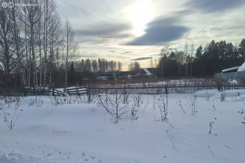 Участок в Свердловская область, Полевской муниципальный округ, село ... - Фото 2