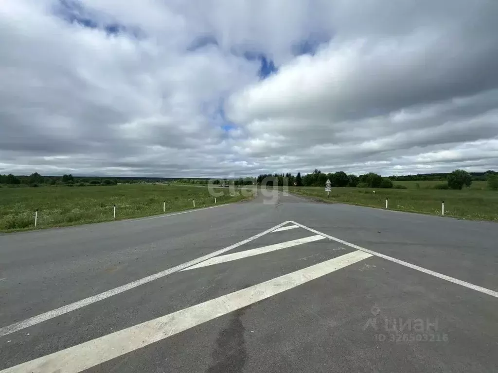 Участок в Татарстан, Елабужский район, Поспеловское с/пос, с. Мальцево ... - Фото 1