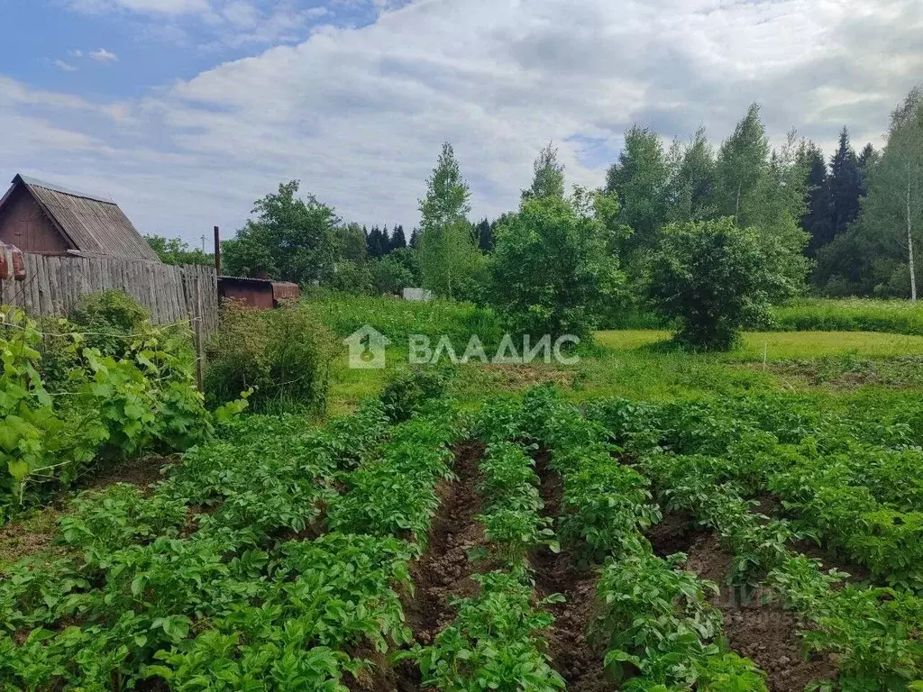 Участок в Ивановская область, Тейковский район, Большеклочковское ... - Фото 0