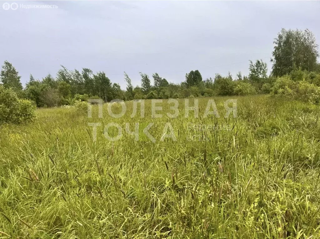 Участок в Боровичи, микрорайон Западный (12 м) - Фото 2