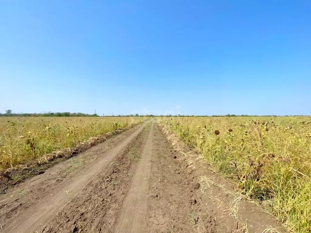 Участок в Краснодарский край, Ейск  (6.0 сот.) - Фото 2