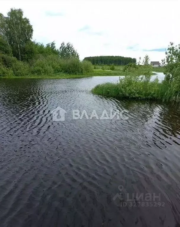Участок в Нижегородская область, Богородский муниципальный округ, д. ... - Фото 1