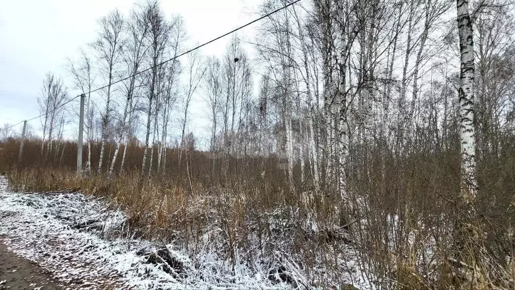 Участок в Тюменская область, Тюмень  (8.84 сот.) - Фото 1