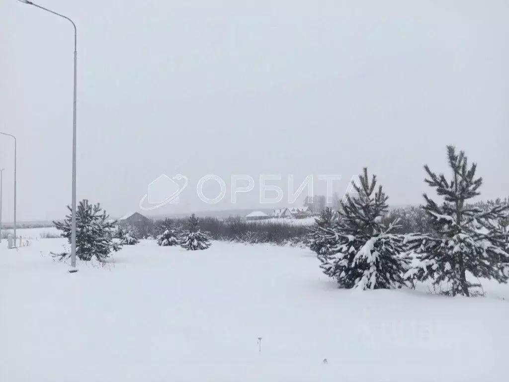 Участок в Тюменская область, Тюменский район, Новокаменский кп  (15.8 ... - Фото 0
