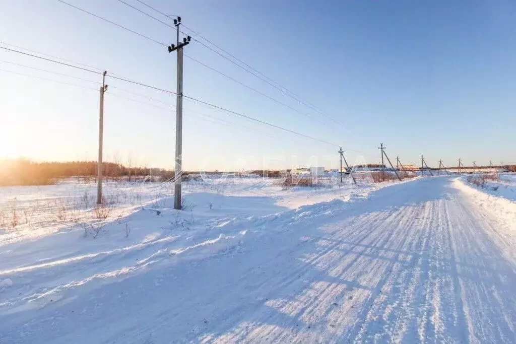 Участок в Тюменская область, Тюменский район, с. Горьковка  (15.0 ... - Фото 2