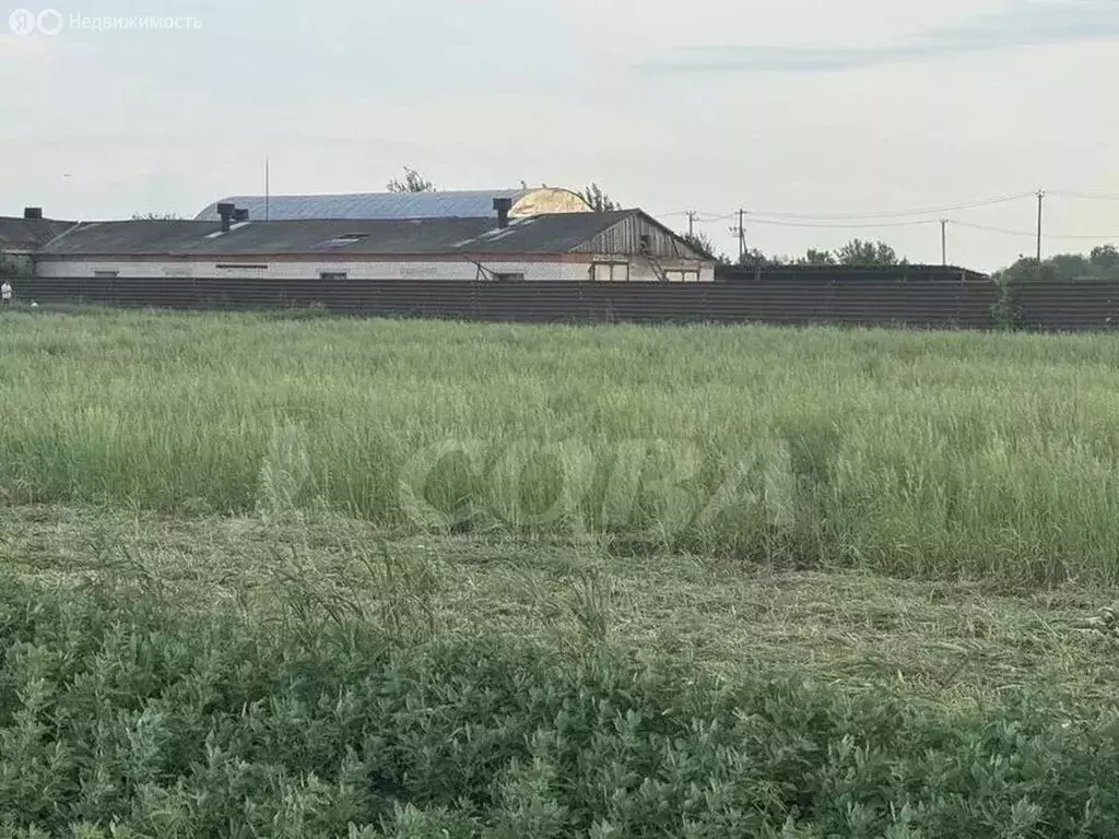 Участок в Тюменский муниципальный округ, село Успенка (9 м) - Фото 2