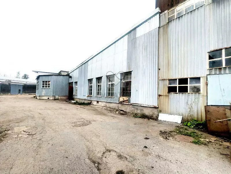 Производственное помещение (338.5 м) - Фото 0