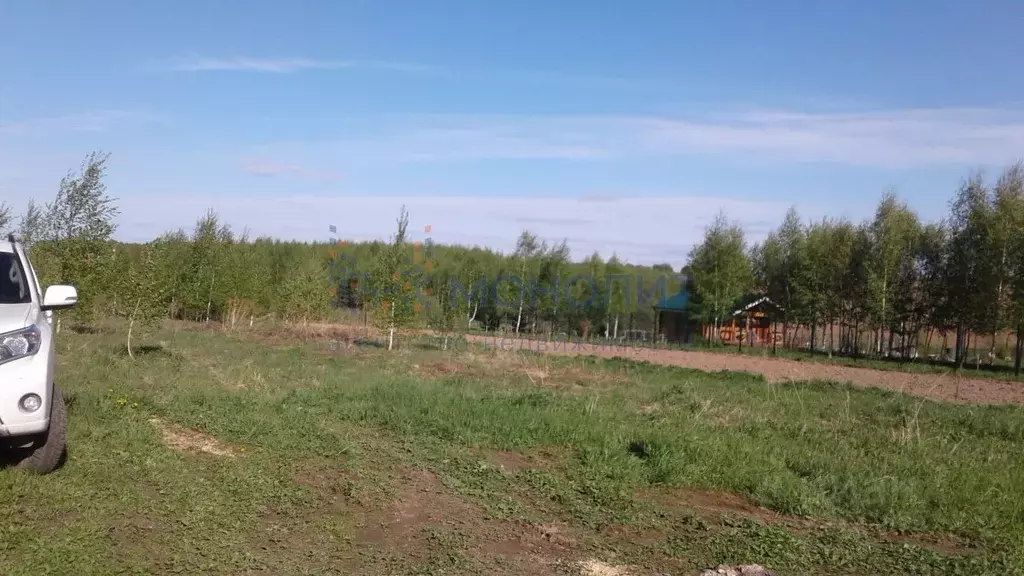 Участок в Нижегородская область, Чкаловск городской округ, с. Пурех ... - Фото 0