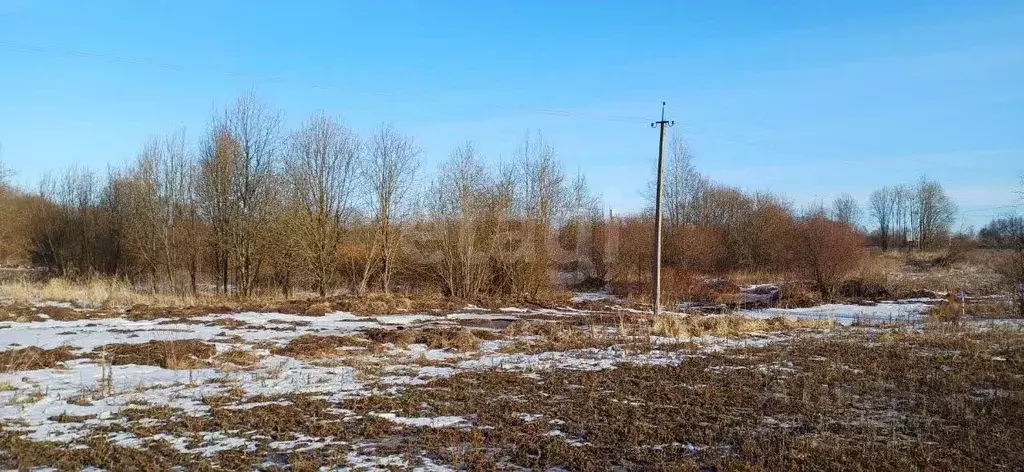 Участок в Вологодская область, Шекснинский муниципальный округ, д. ... - Фото 1