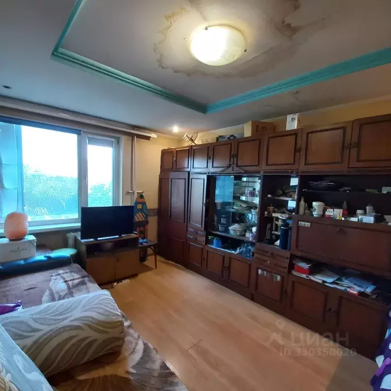 1-к кв. Алтайский край, Барнаул ул. Антона Петрова, 216 (28.0 м) - Фото 1