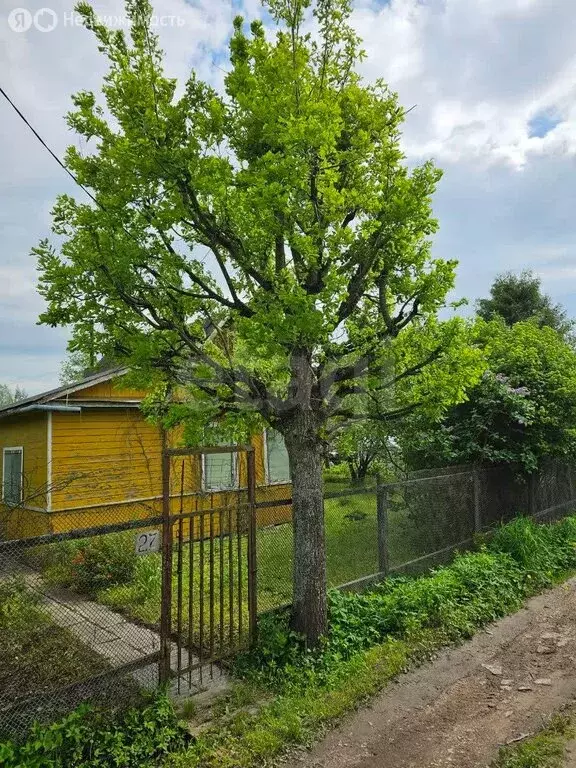 Участок в Санкт-Петербург, садоводство Дружный-1, 9-я линия (6.39 м) - Фото 2