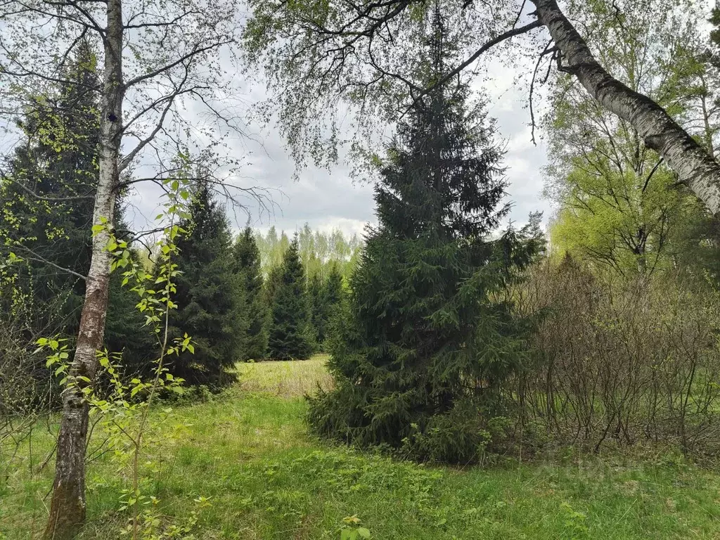 Участок в Московская область, Мытищи городской округ, пос. Вешки  ... - Фото 1