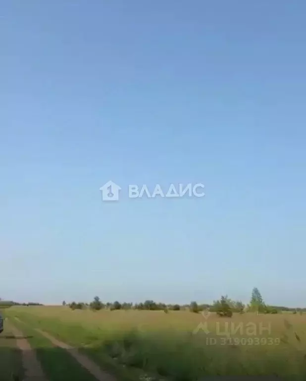 Участок в Татарстан, Зеленодольский район, Большеякинское с/пос, с. ... - Фото 1