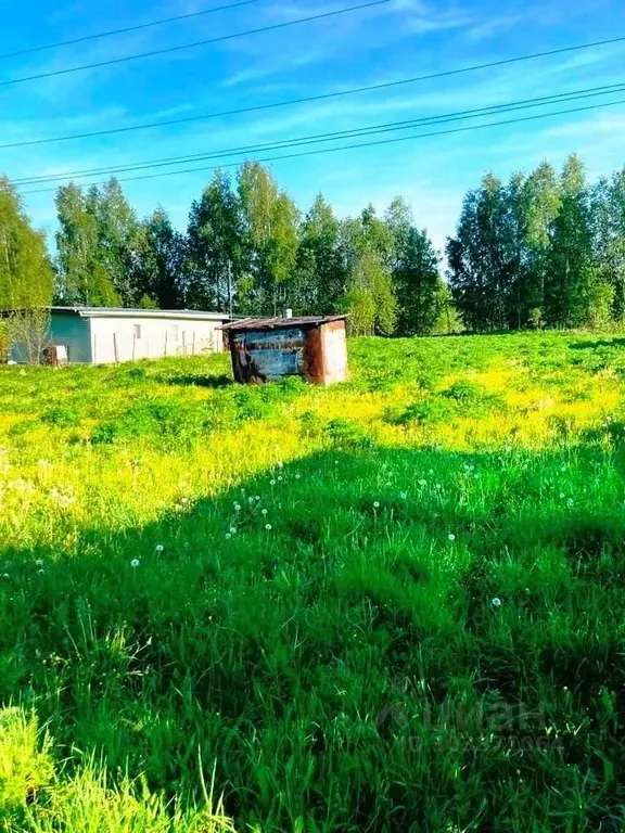 Участок в Владимирская область, Кольчугинский район, Раздольевское ... - Фото 1