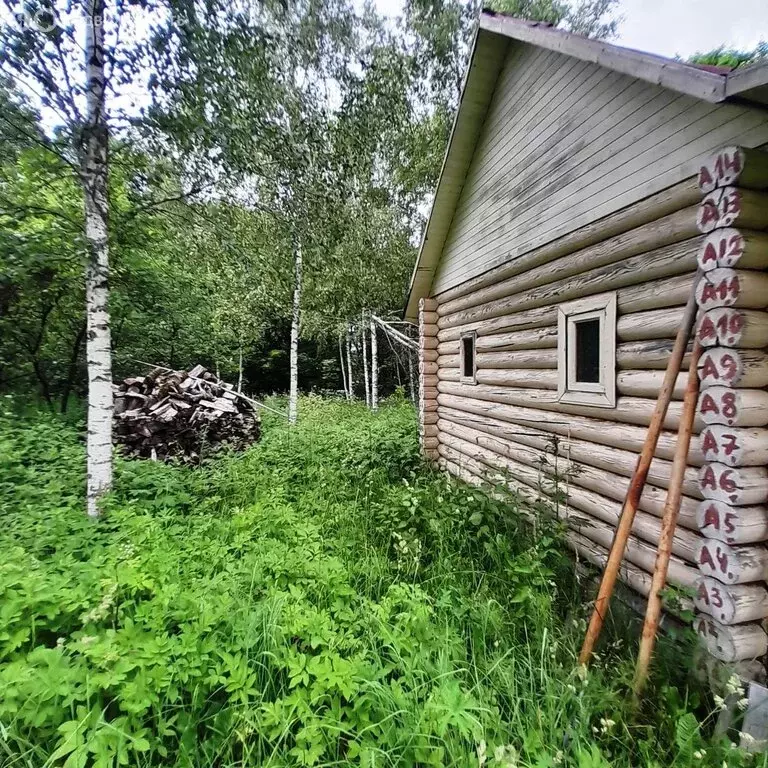 Дом в Смоленский муниципальный округ, деревня Чекулино (60 м) - Фото 0