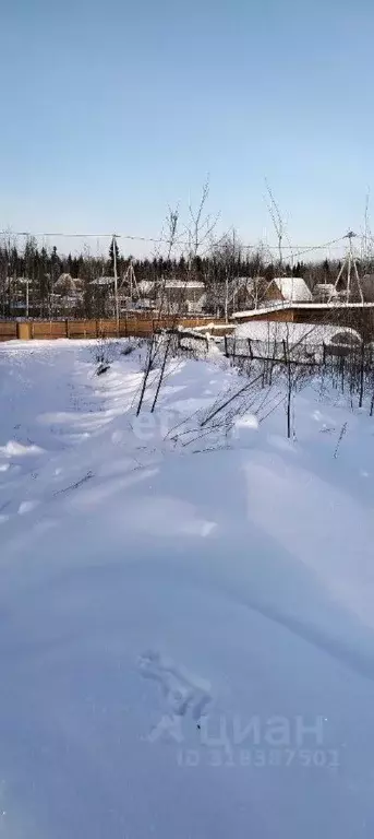 Участок в Ханты-Мансийский АО, Нефтеюганского муниципального района ... - Фото 0