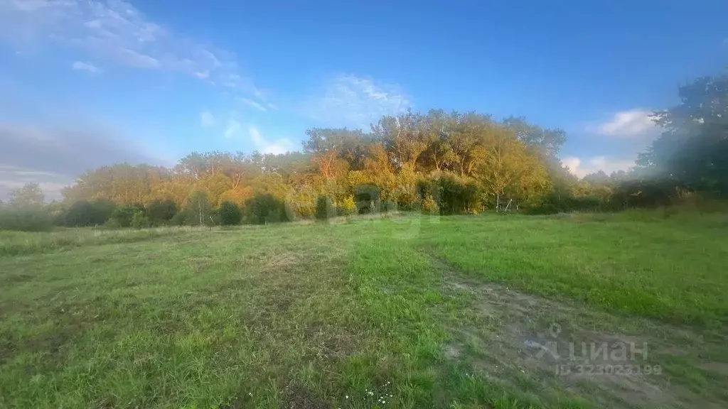 Участок в Калининградская область, Гурьевский муниципальный округ, ... - Фото 1