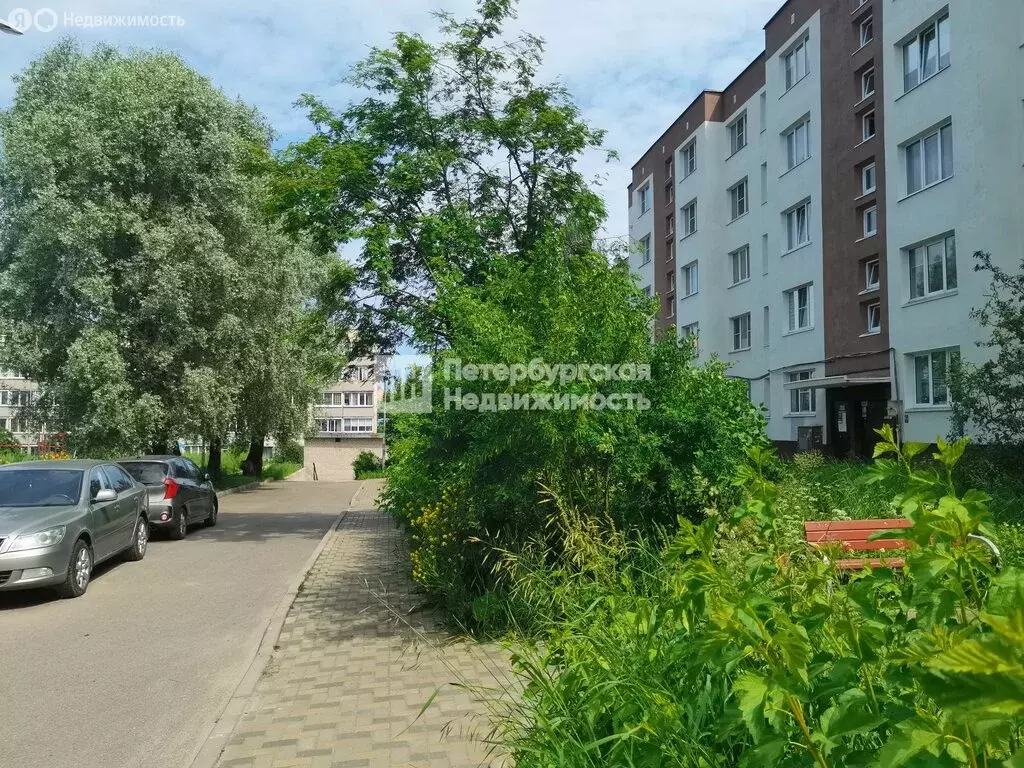 1-комнатная квартира: Луга, проспект Кирова, 31 (35.6 м) - Фото 0
