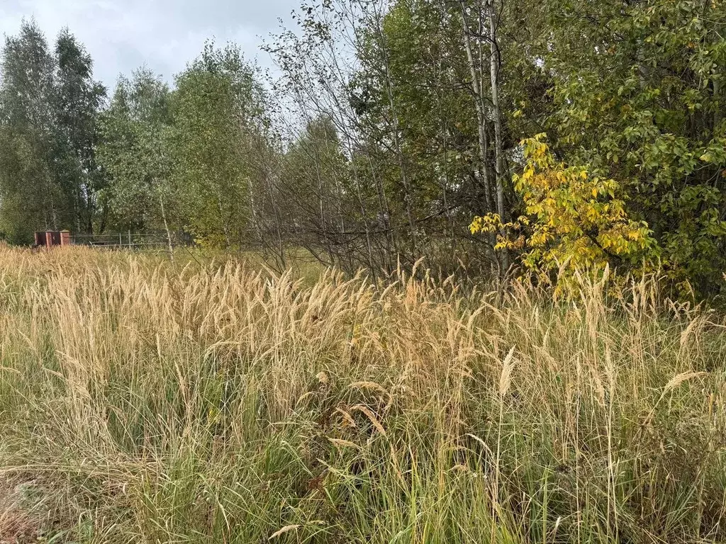 Участок в Московская область, Богородский городской округ, д. Новое ... - Фото 2