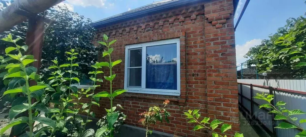 Дом в Краснодарский край, Динской район, Нововеличковское с/пос, ... - Фото 1