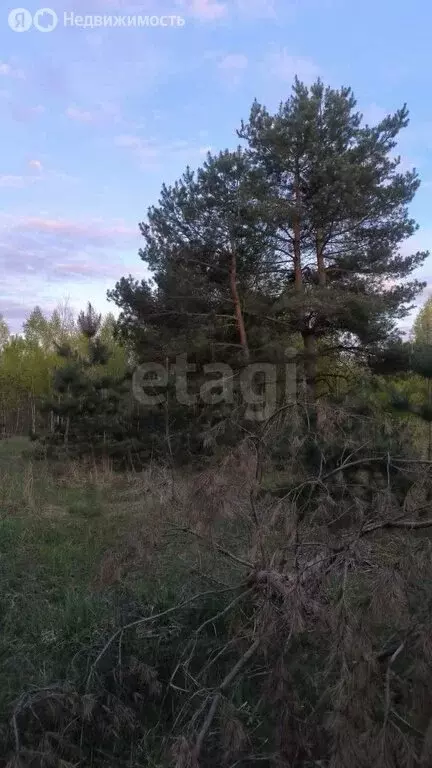 Участок в деревня Толвинка, жилой комплекс Подмосковье, улица Охотный ... - Фото 1