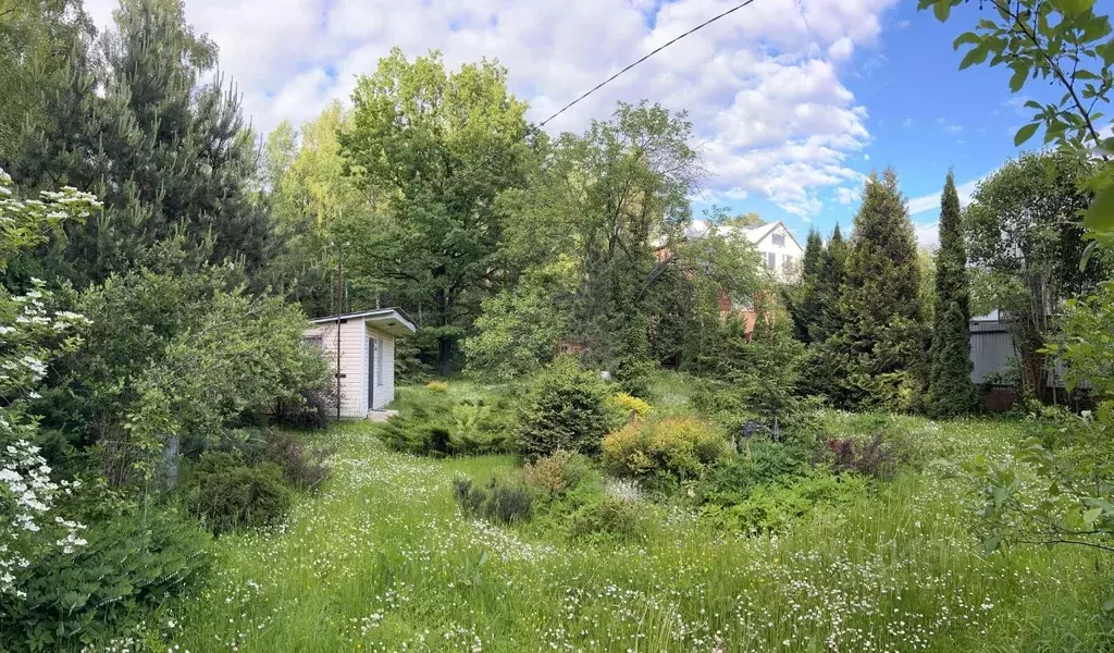 Участок в Московская область, Богородский городской округ, Лесная ... - Фото 1