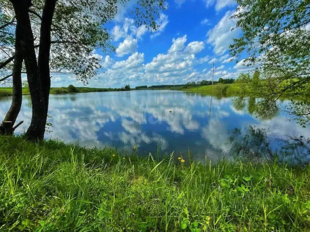 Участок в Московская область, Кашира городской округ, пос. Ледово ул. ... - Фото 0