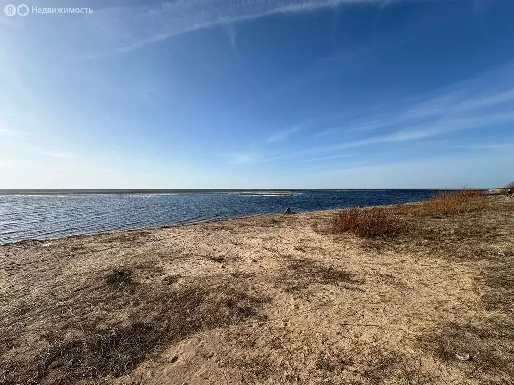 Участок в Гдовский район, Юшкинская волость, Кунейская губа (40 м) - Фото 1