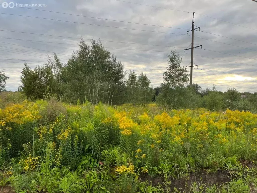 Участок в Тульская область, городской округ Тула, деревня Ямны (8.05 ... - Фото 1