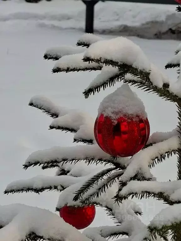Дом в Ленинградская область, Выборг Хутор Придорожное кп, проезд ... - Фото 2