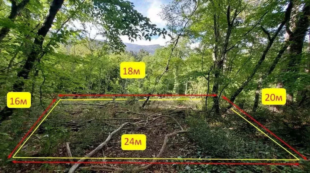 Участок в Крым, Ялта ул. Дарсановская, 67 (5.0 сот.) - Фото 0